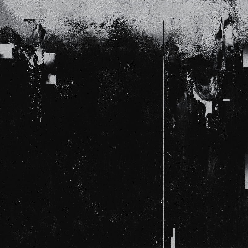 Amubias (front cover)